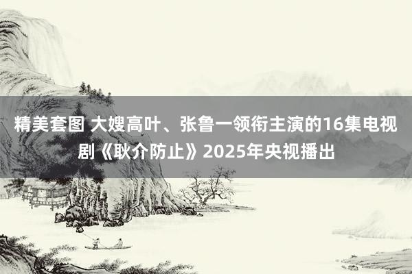 精美套图 大嫂高叶、张鲁一领衔主演的16集电视剧《耿介防止》2025年央视播出