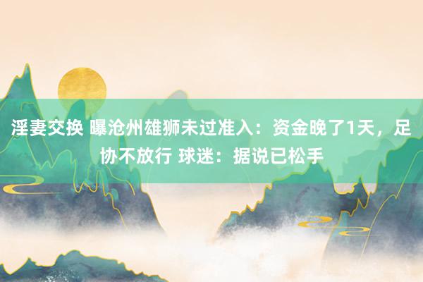 淫妻交换 曝沧州雄狮未过准入：资金晚了1天，足协不放行 球迷：据说已松手