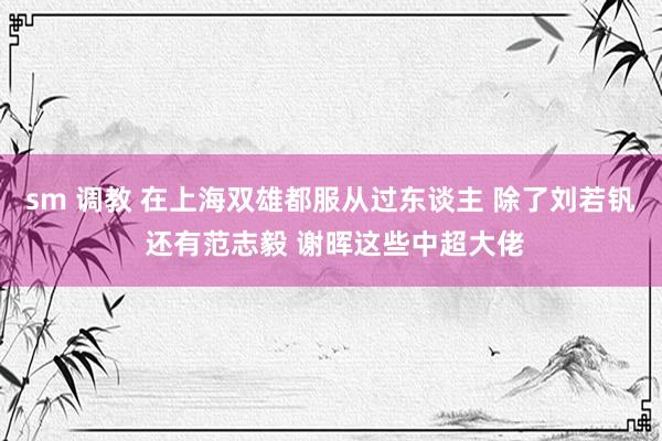 sm 调教 在上海双雄都服从过东谈主 除了刘若钒 还有范志毅 谢晖这些中超大佬