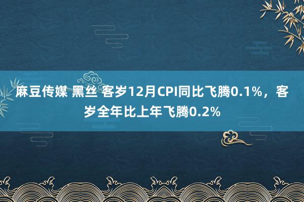 麻豆传媒 黑丝 客岁12月CPI同比飞腾0.1%，客岁全年比上年飞腾0.2%