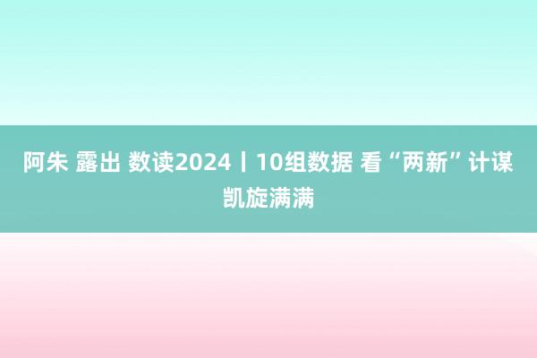 阿朱 露出 数读2024丨10组数据 看“两新”计谋凯旋满满