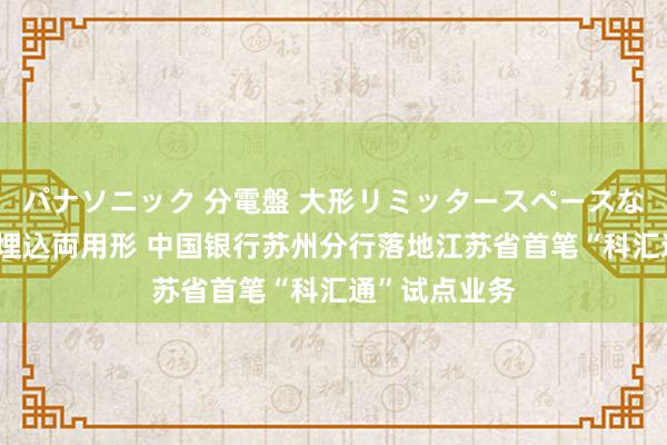 パナソニック 分電盤 大形リミッタースペースなし 露出・半埋込両用形 中国银行苏州分行落地江苏省首笔“科汇通”试点业务