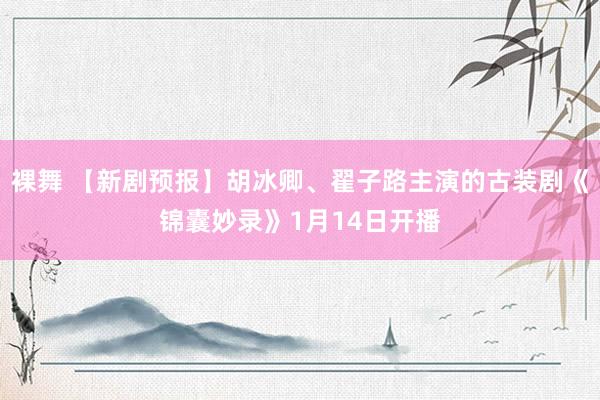 裸舞 【新剧预报】胡冰卿、翟子路主演的古装剧《锦囊妙录》1月14日开播