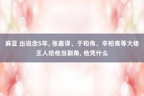 麻豆 出说念5年, 张嘉译、于和伟、辛柏青等大佬王人给他当副角, 他凭什么